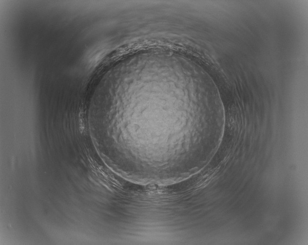 X0000070251490200606021142