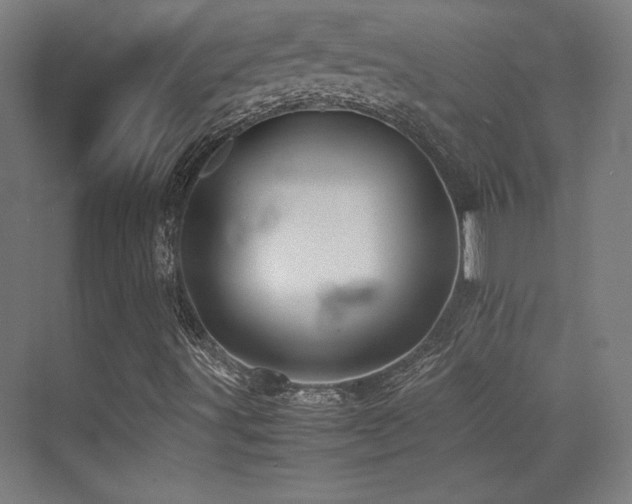 X0000070251491200606021142