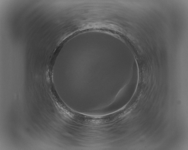 X0000070251497200606021142