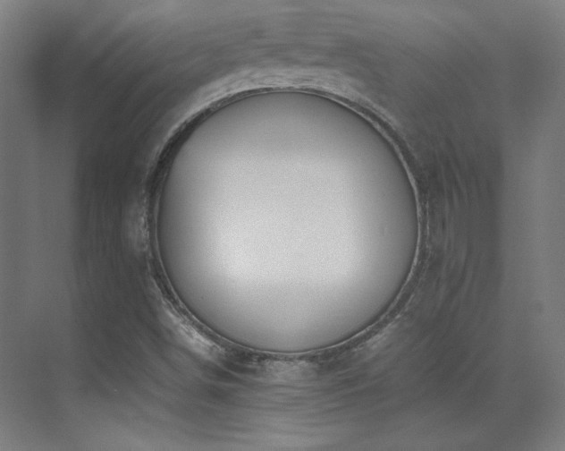 X0000070251498200606021142