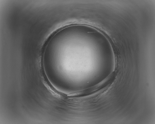 X0000070251503200606021142