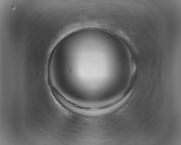 X0000070251512200606021142