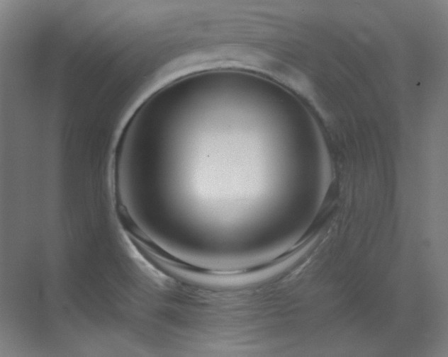 X0000070251516200606021142