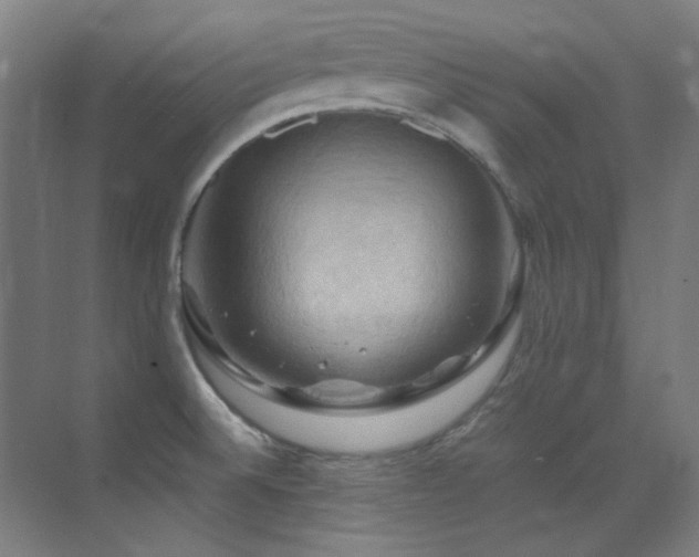 X0000070251524200606021142