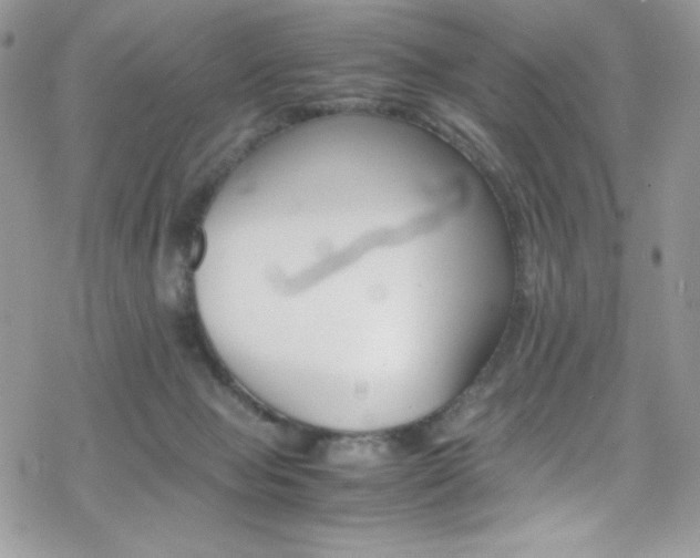 X0000070250077200606051200
