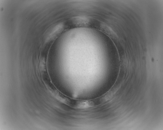 X0000070250083200606051201