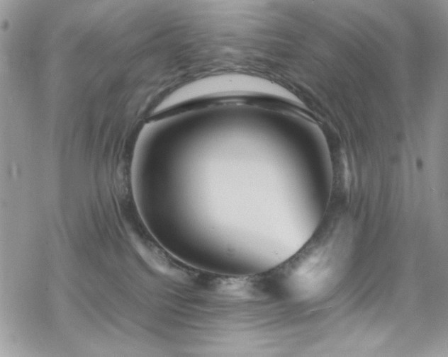 X0000070250088200606051201