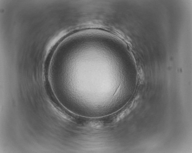 X0000070250248200606051157