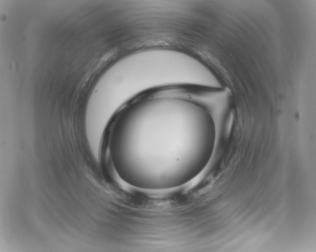X0000070250260200606051157