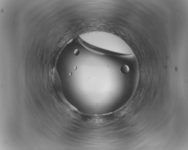 X0000070250276200606051157