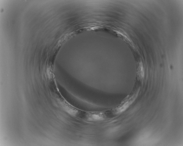 X0000070250285200606051158