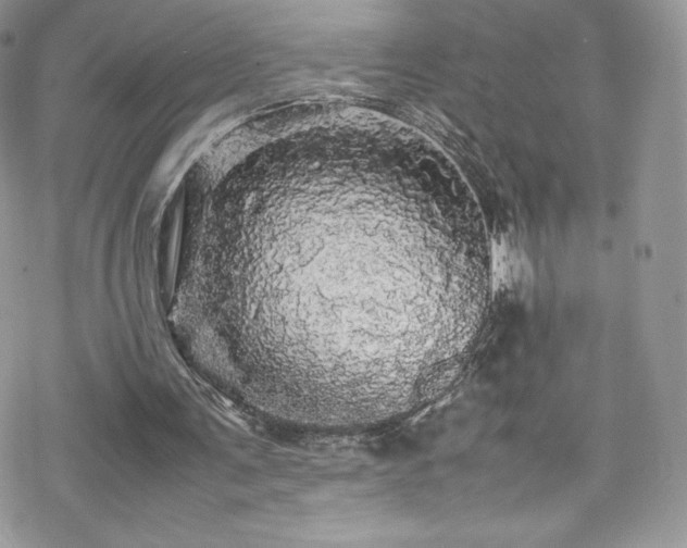 X0000070250291200606051157