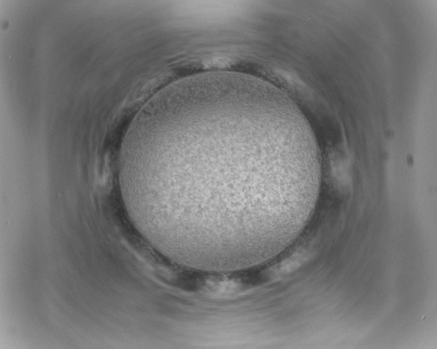 X0000070250311200606051156