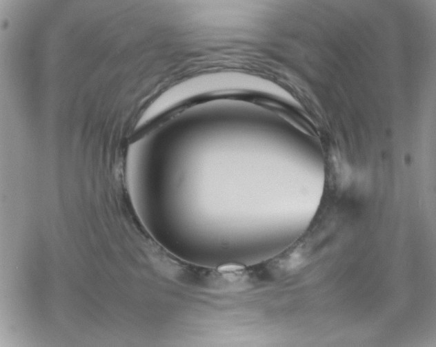 X0000070250329200606051156