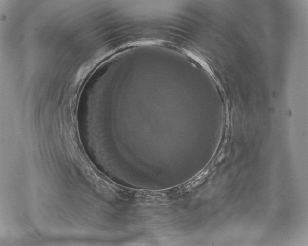 X0000070250337200606051155