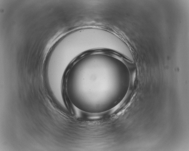 X0000070250344200606051155
