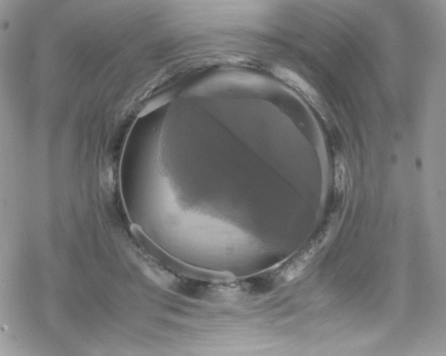X0000070250405200606051155