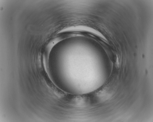 X0000070250416200606051155