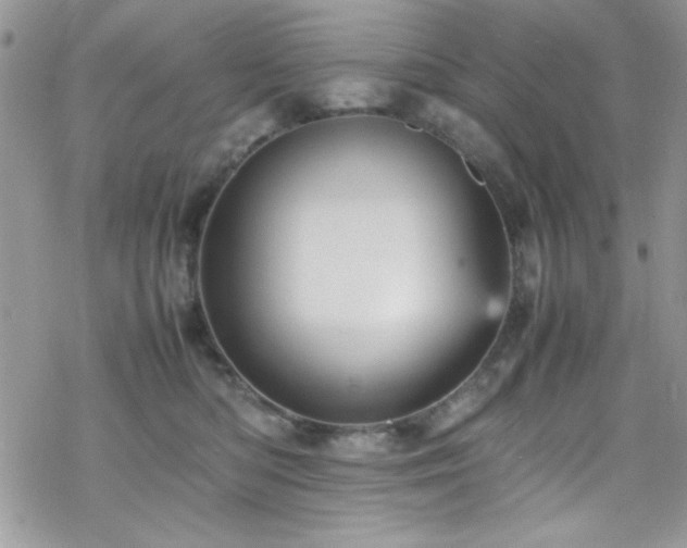 X0000070250422200606051155