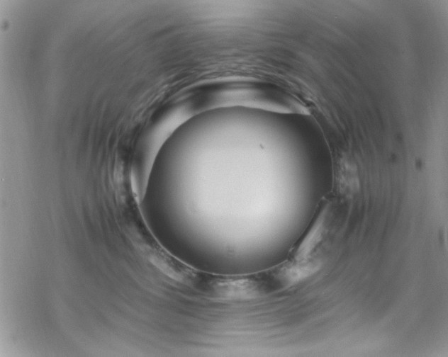 X0000070250428200606051154