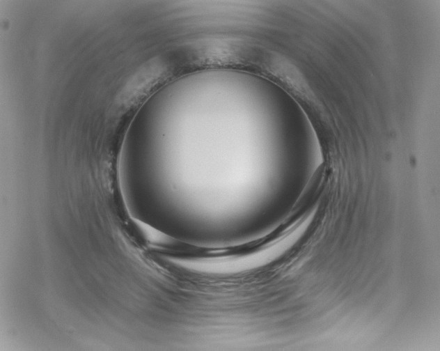 X0000070250450200606051154