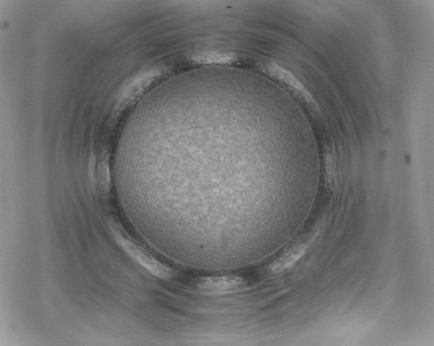 X0000070250541200606051152