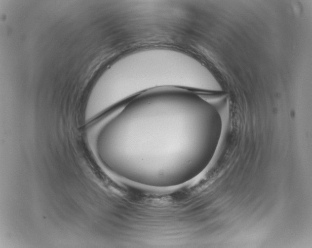 X0000070250548200606051152