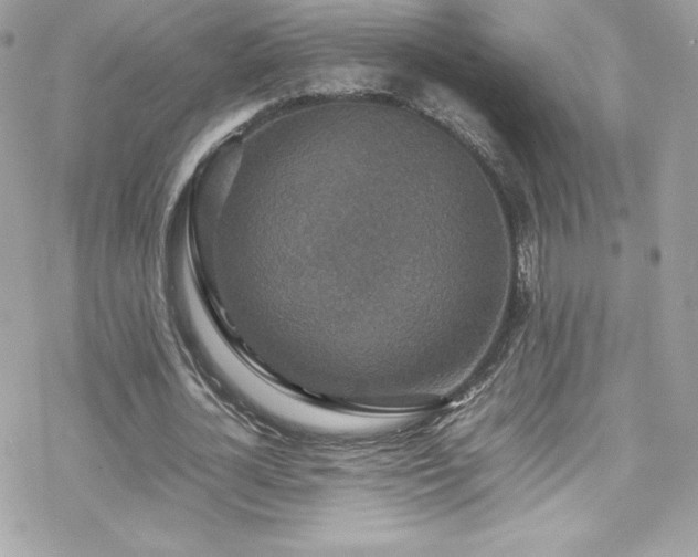 X0000070250724200606051149