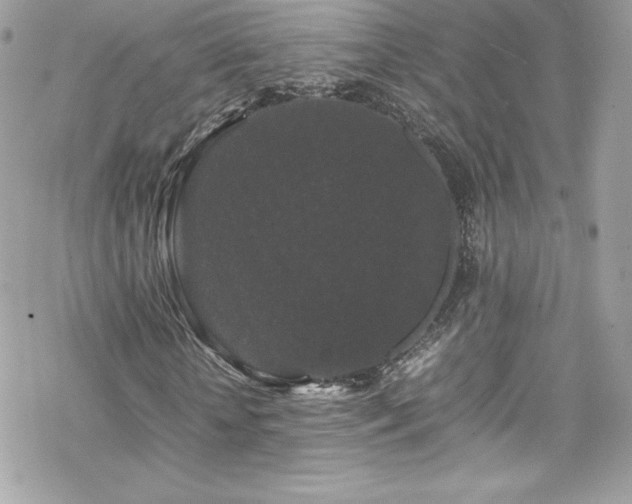 X0000070250818200606051147