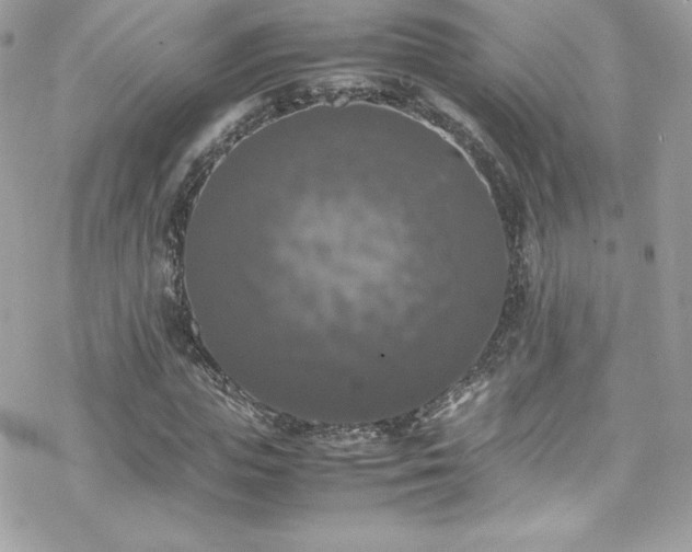X0000070250823200606051147