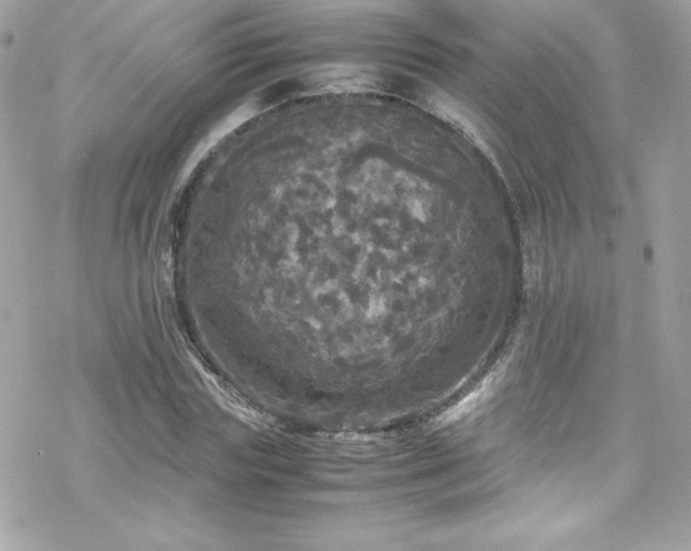 X0000070250827200606051148