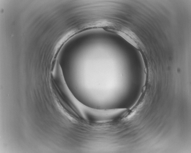 X0000070250850200606051148