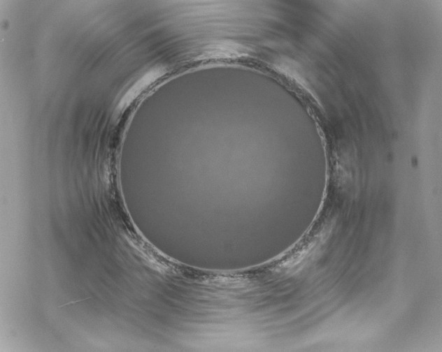 X0000070250874200606051147