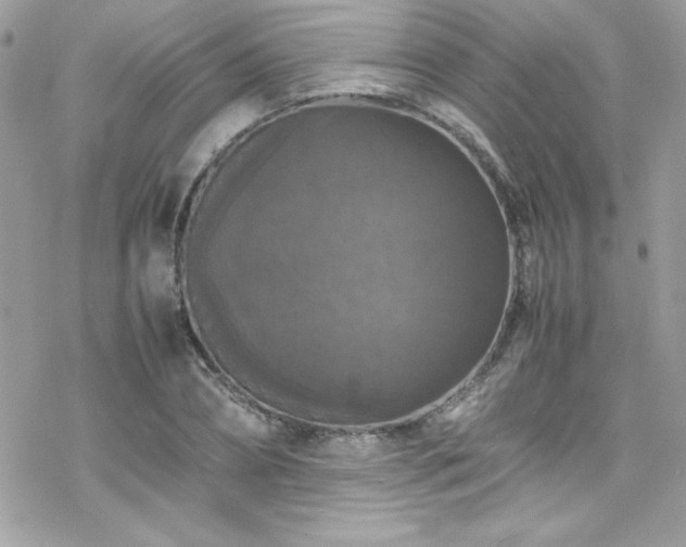 X0000070250882200606051147