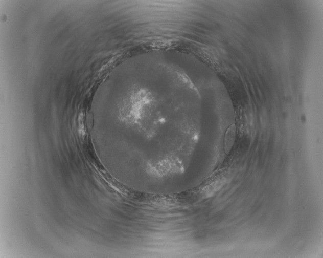 X0000070250962200606051146