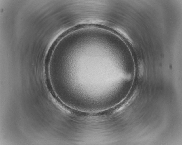 X0000070250976200606051146