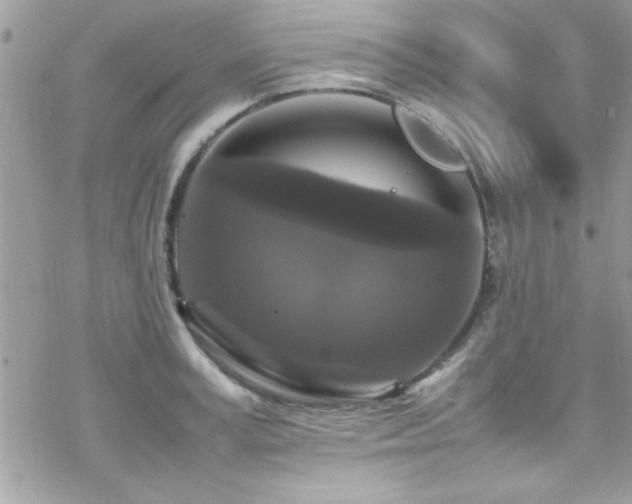 X0000070250995200606051145