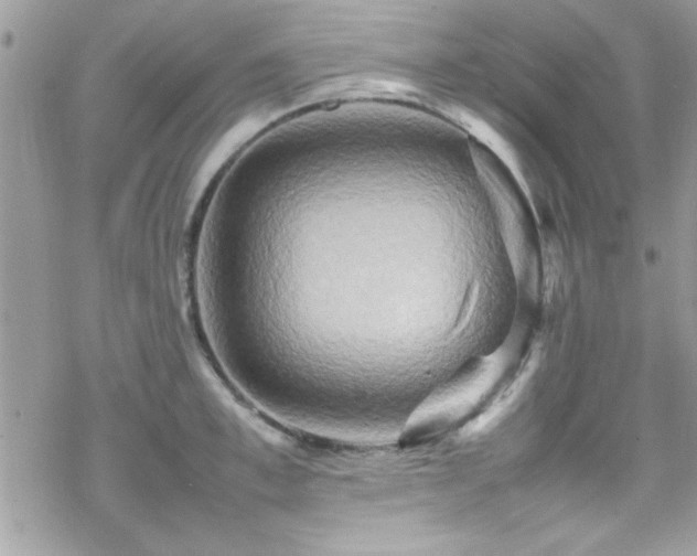 X0000070250997200606051145