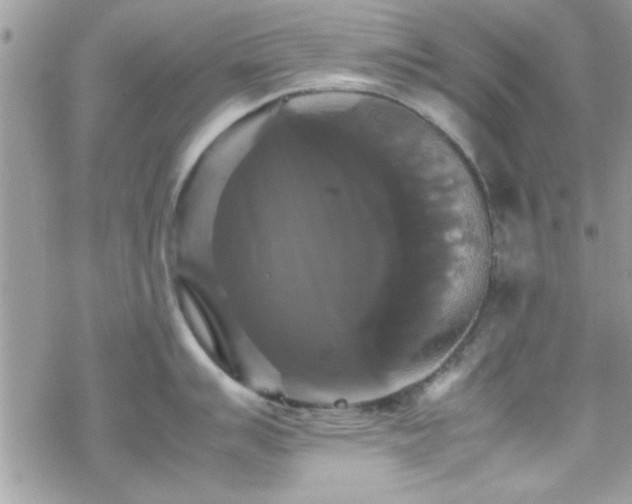 X0000070251007200606051145