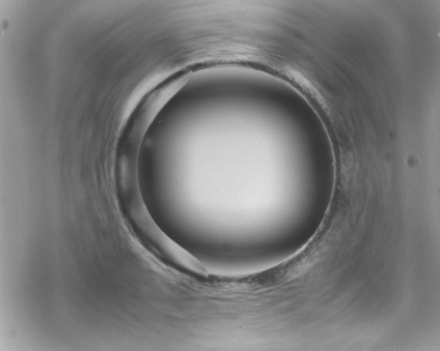 X0000070251085200606051144