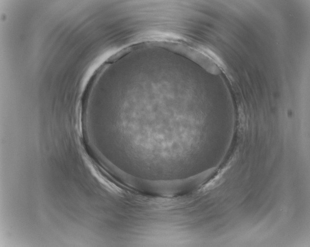 X0000070251128200606051143