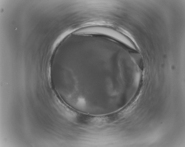 X0000070251179200606051142