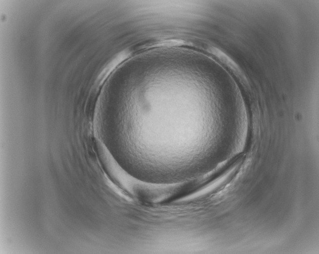 X0000070251193200606051142
