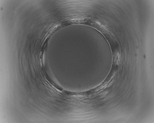 X0000070251202200606051141
