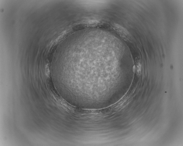 X0000070251204200606051141