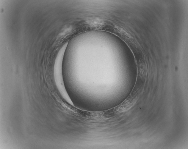 X0000070251249200606051141