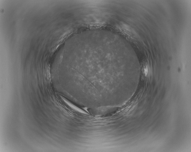 X0000070251252200606051141