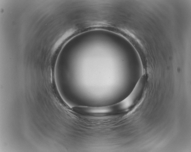 X0000070251317200606051140