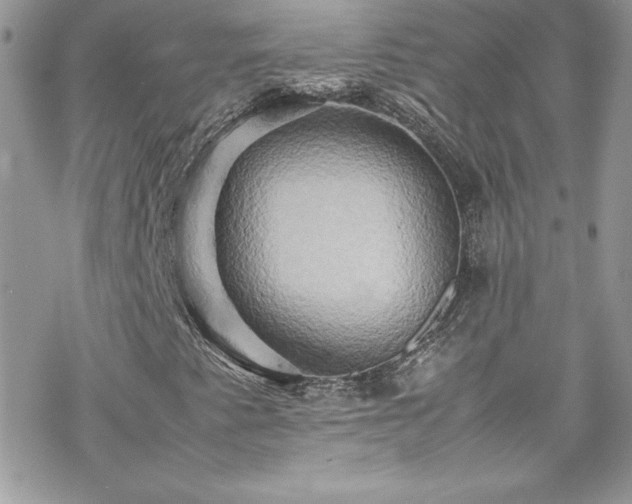 X0000070251345200606051140