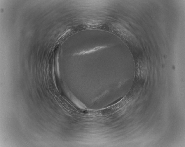 X0000070251346200606051139